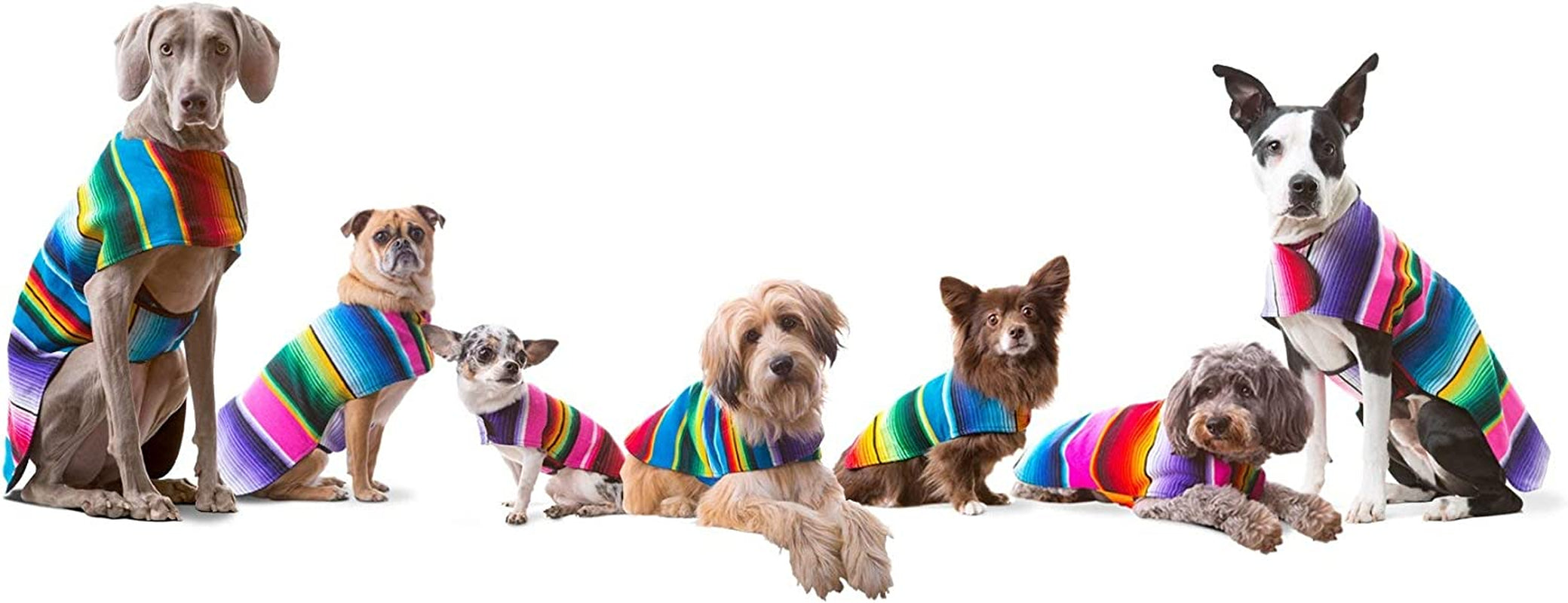 Handcrafted Dog Poncho from Authentic Mexican Blanket - Blue, XXS