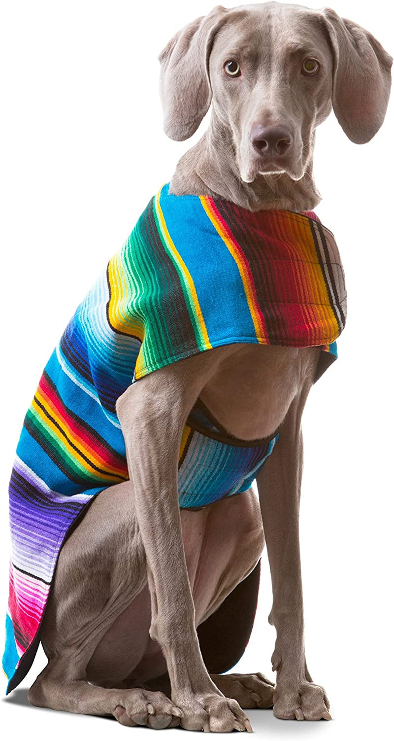 Handcrafted Dog Poncho from Authentic Mexican Blanket - Blue, XXS