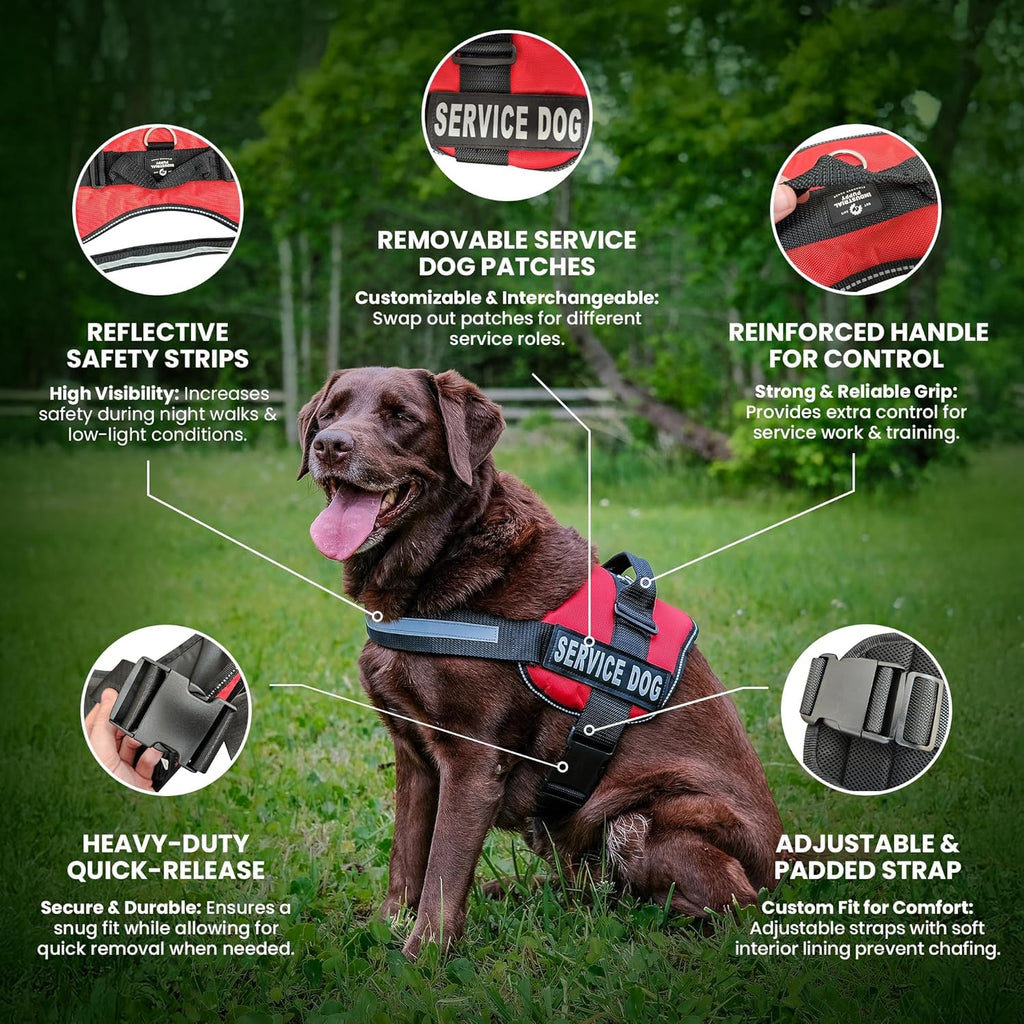 Service Dog Vest with Handle - No Pull Harness for Large Breeds, Reflective Straps, Removable Patches, Suitable for Small to Large Dogs