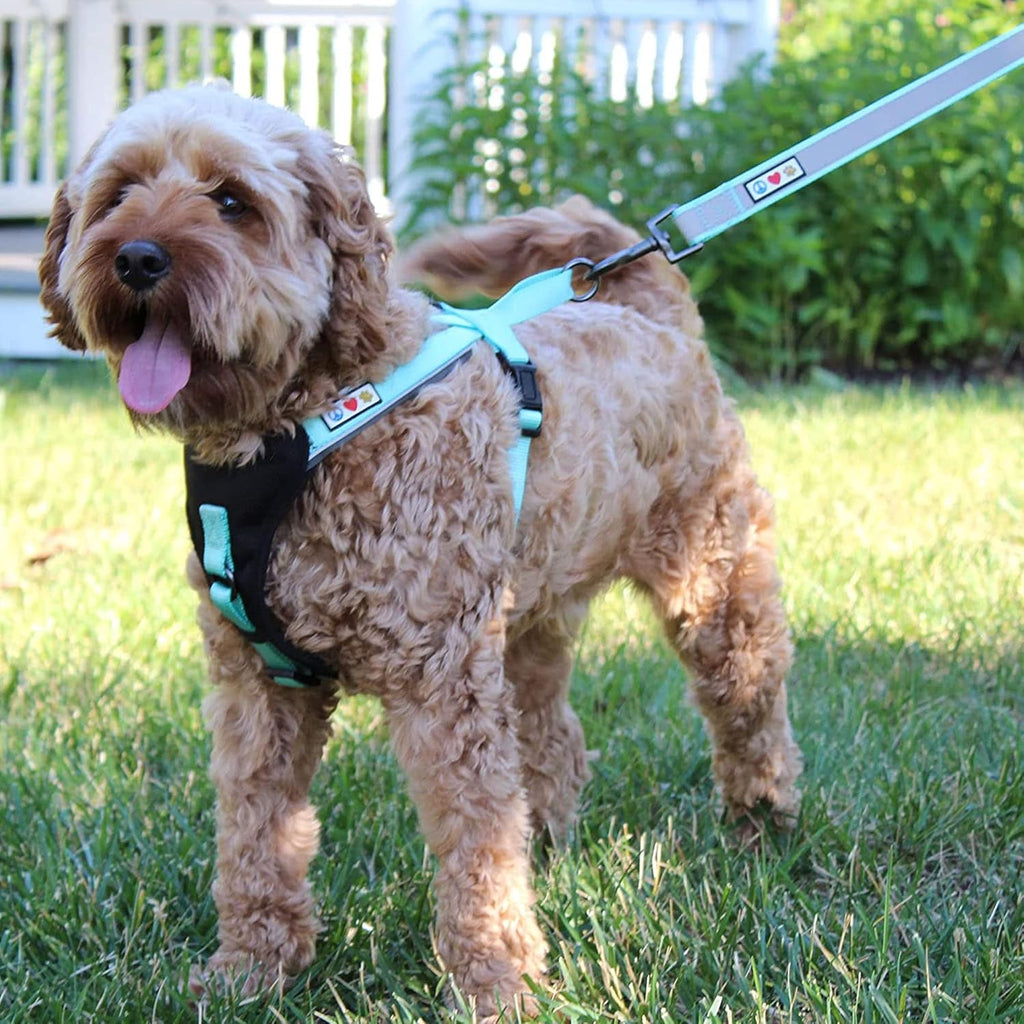 Customizable 6 Ft Black Dog Leash with Reflective Features and Padded Handle for Enhanced Comfort - Embroidered with Name and Phone Number