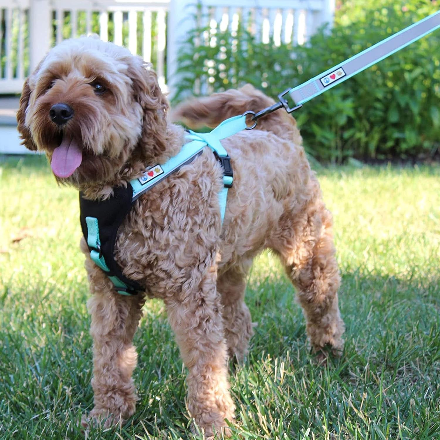 Customizable 6 Ft Black Dog Leash with Reflective Features and Padded Handle for Enhanced Comfort - Embroidered with Name and Phone Number