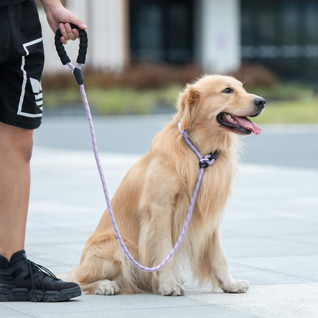 Durable Slip Lead Dog Leash, 1/2" X 4 FT, Lavender | Padded Handle, Reflective Threads, No Pull, Dog Training Leash