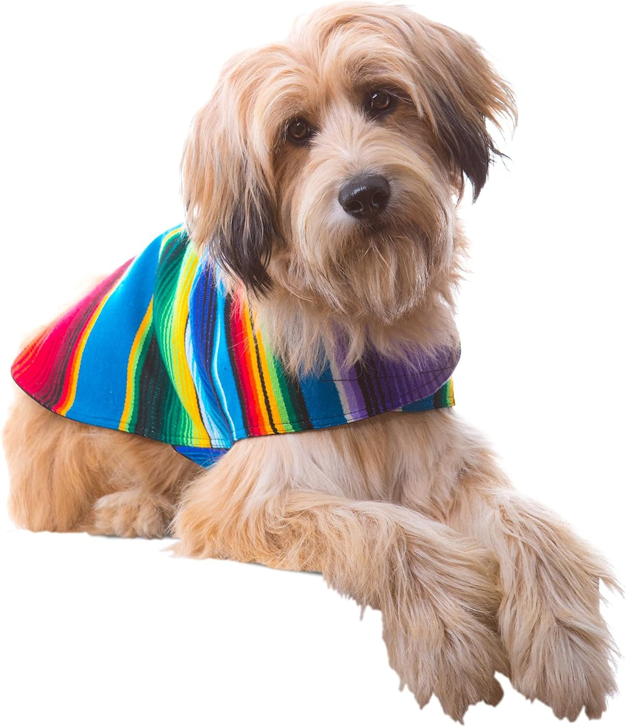 Handcrafted Dog Poncho from Authentic Mexican Blanket - Blue, XXS
