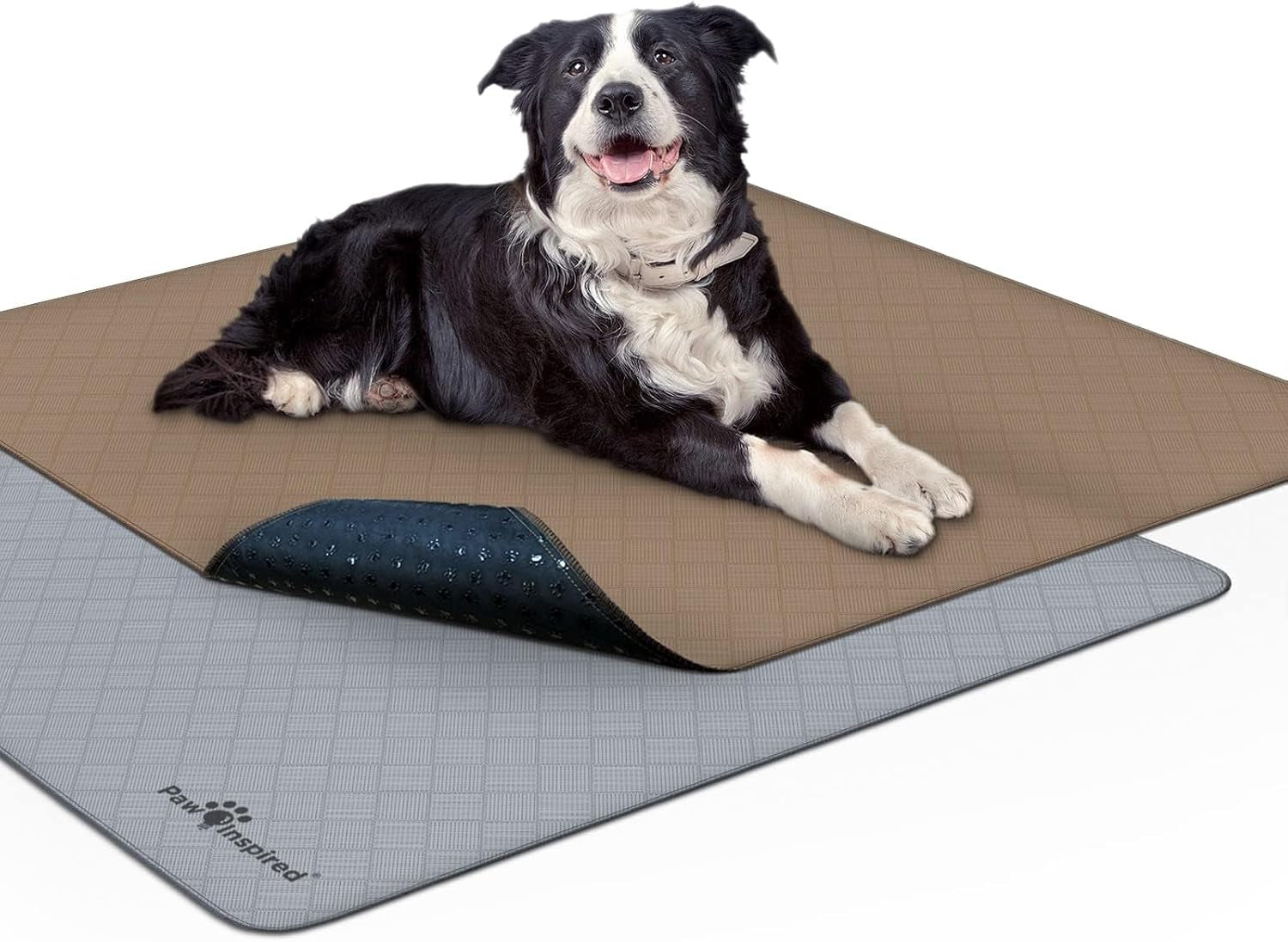 Washable Dog Pee Pads, 41"x41", Set of 2 | Leakproof, Non-Slip, Reusable Potty Training and Whelping Mat, Waterproof Pet Solution