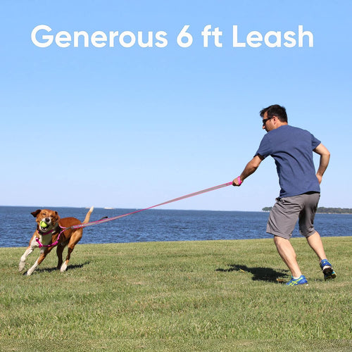 Customizable 6 Ft Black Dog Leash with Reflective Features and Padded Handle for Enhanced Comfort - Embroidered with Name and Phone Number