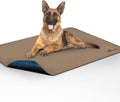Large Washable Dog Pee Pads, 48x60 Inches | Leakproof, Non-Slip, Reusable Potty Training and Whelping Mat, Waterproof Pet Solution