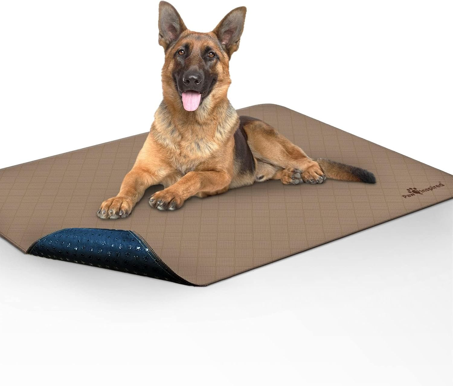 Large Washable Dog Pee Pads, 48x60 Inches | Leakproof, Non-Slip, Reusable Potty Training and Whelping Mat, Waterproof Pet Solution